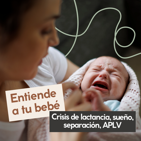 Entiende a tu bebé: Guía para comprender sus crisis de lactancia, sueño, separación y dificultades digestivas relacionadas con la lactancia