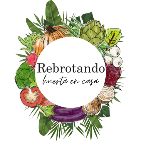 rebrotando.agroecologia
