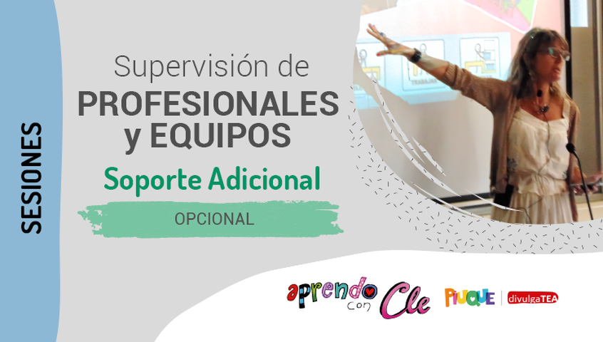 Supervisión de Profesionales y Equipos - Soporte