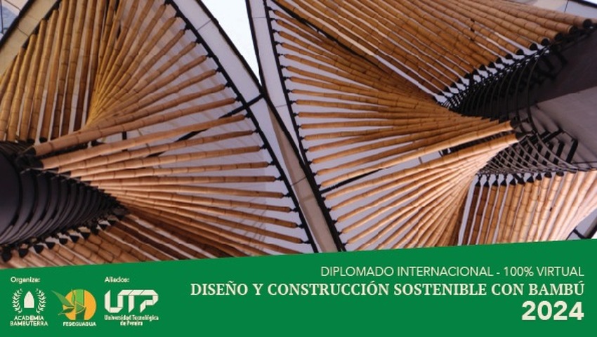 Diplomado Internacional: Diseño y construcción con bambú 2024