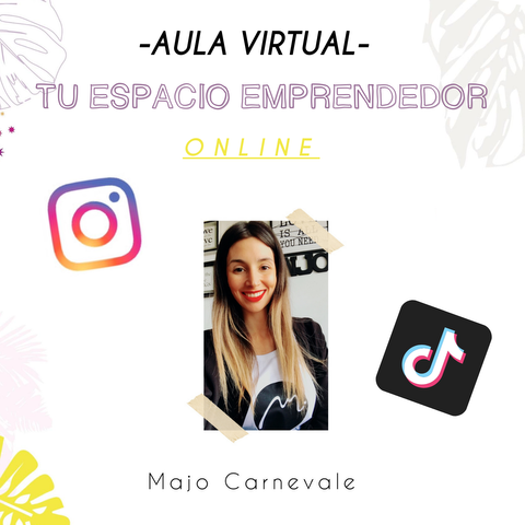 -Aula Virtual- Tu Espacio Emprendedor Online