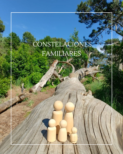 Constelaciones Familiares Individuales