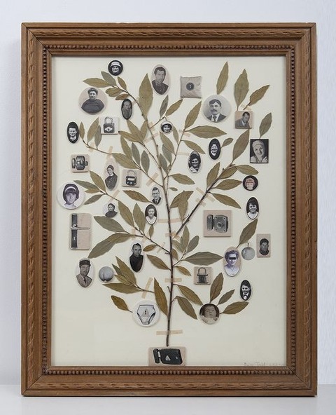 Astrología Árbol Familiar