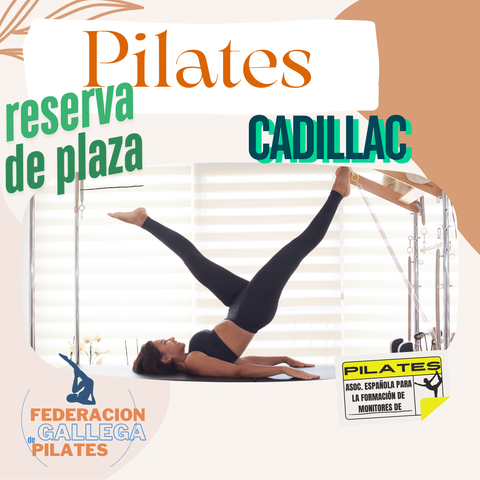RESERVA DE PLAZA 14 Y 15 DE NOVIEMBRE CADILLAC - SILLA - BARRIL Y SPINE CORRECTOR