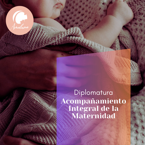 Diplomatura en Acompañamiento Integral de la Maternidad
