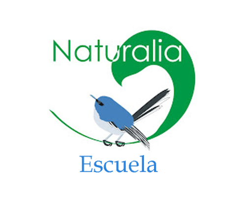 Naturalia Escuela