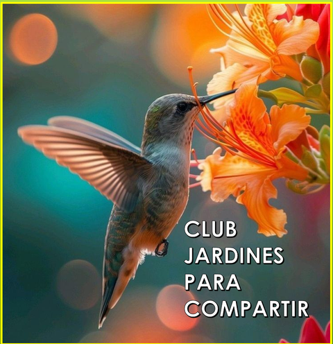 Club Jardines para Compartir 