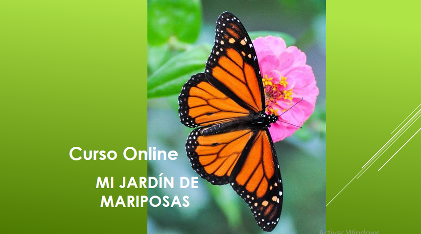Mi Jardín de Mariposas