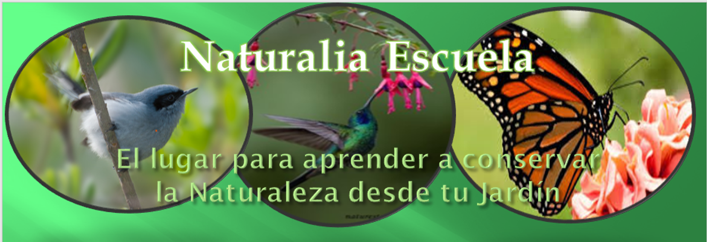 Jardines para Compartir Full