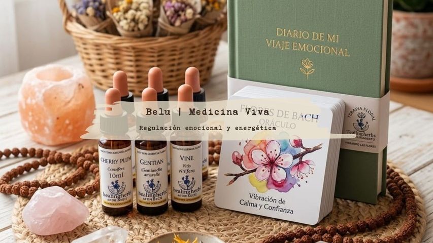 Il Sentiero dei Fiori -  Bioterapia Floreale Integrata - In presenza 