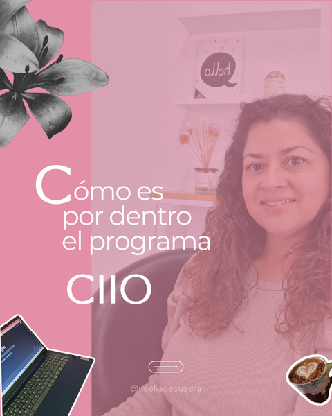 Academia de profesionales del idioma