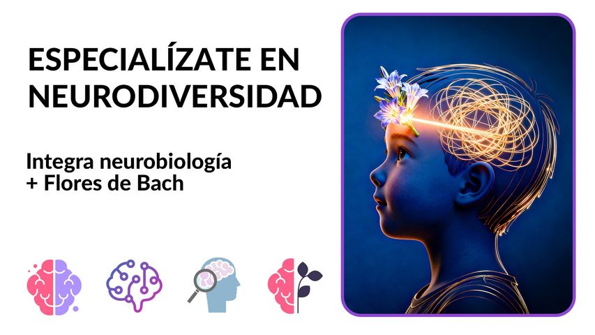 Taller Estrategias Florales de Bach en TDAH, Dislexia y Autismo.
