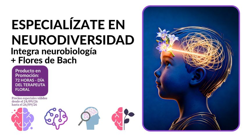 Taller Estrategias Florales de Bach en TDAH, Dislexia y Autismo.