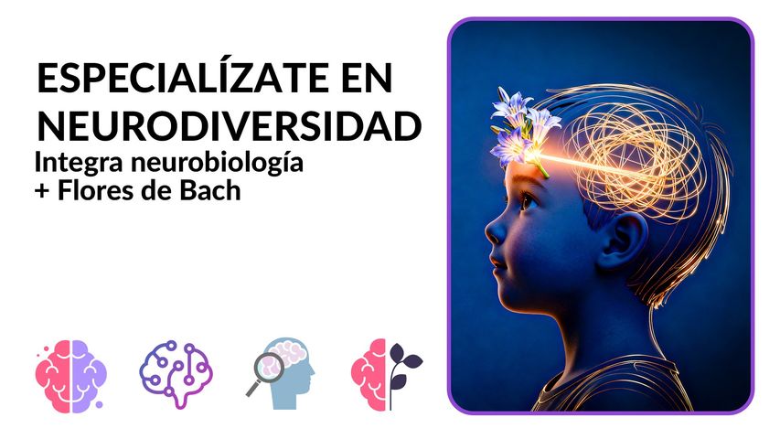Taller Estrategias Florales de Bach en TDAH, Dislexia y Autismo.
