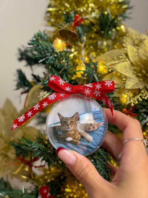 Chirimbolos 🎄