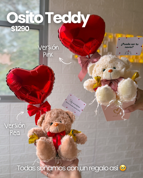 Osito Teddy 🐻