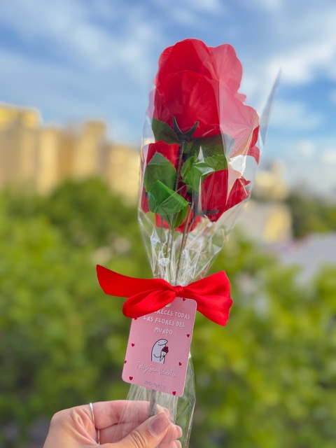 Flores Eternas