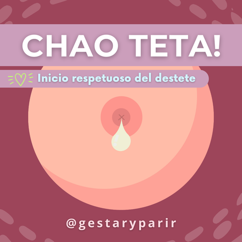 Taller Chao teta! Te acompaño en el inicio respetuoso del destete: consejos prácticos para comenzar el camino.