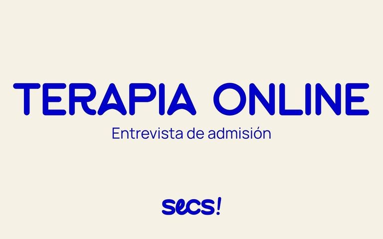 Terapia online – Equipo SECS