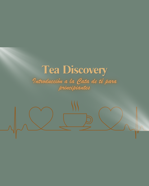 Tea Discovery. Cata de té para Principiantes