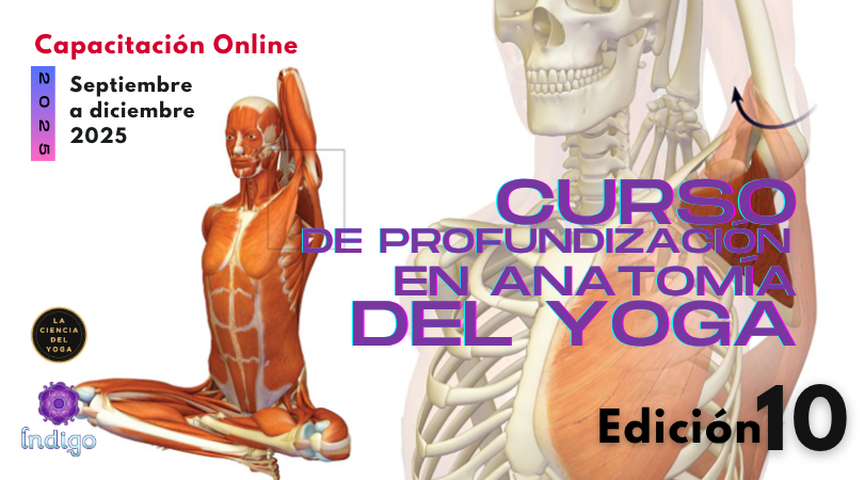 Curso de profundización en anatomía del yoga (CPAY)
