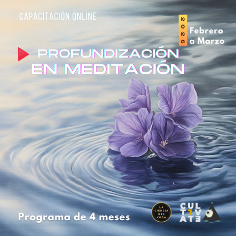 Programa de profundización en meditación