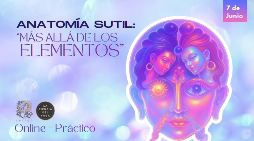 Curso práctico de anatomía Sutil: más allá de los elementos