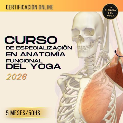 Curso de Especialización en Anatomía Funcional del Yoga (CEAFY)