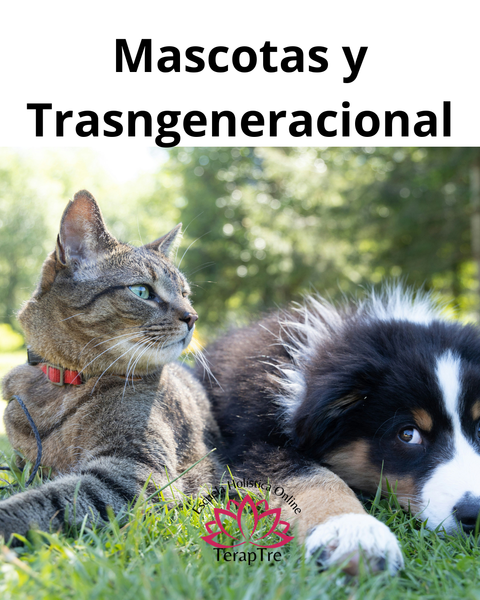 Mascotas y Trasngeneracional
