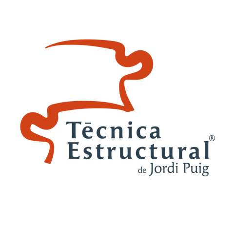 Técnica Estructural