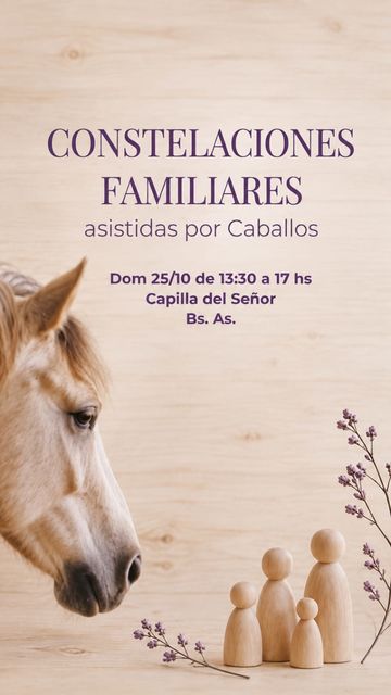 🐎 C. del Señor - Taller de C. Familiares Asistidas con Caballos