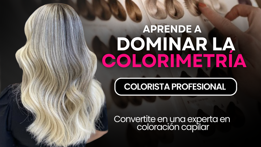 COLORISTA PROFESIONAL + Técnicas de mechas y Balayage 