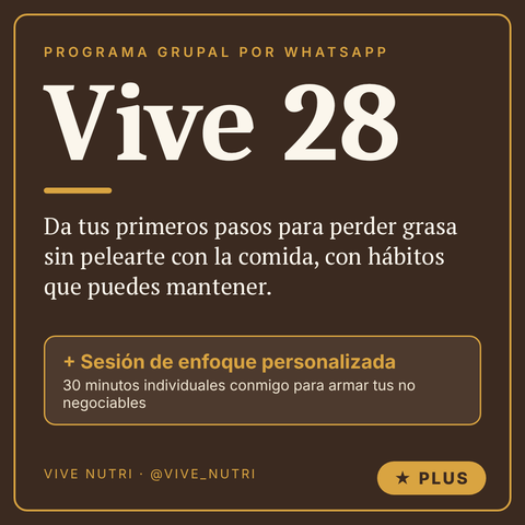 Vive 28 Plus