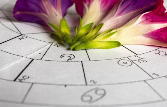 TALLER DE ASTROLOGIA ONLINE LAS LUNAS