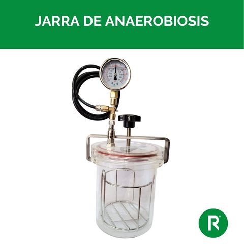 Jarra de anaerobiosis 1,5 L