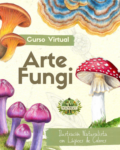 ARTE FUNGI