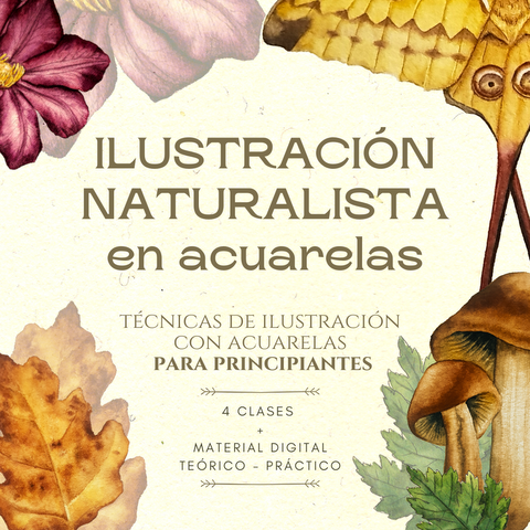 ILUSTRACIÓN NATURALISTA PARA PRINCIPIANTES
