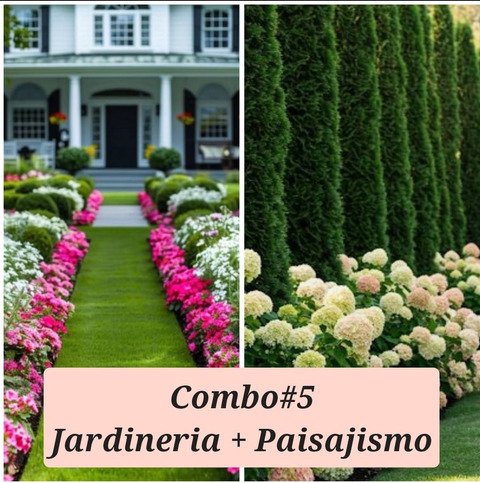 Combo #5: 