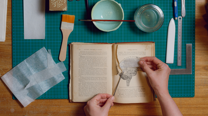 Cuidados básicos para libros y reparaciones sencillas