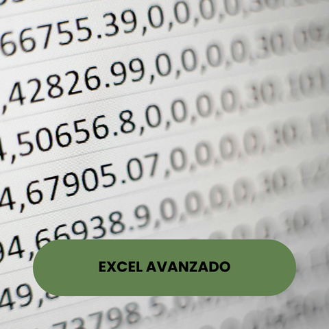Excel avanzado