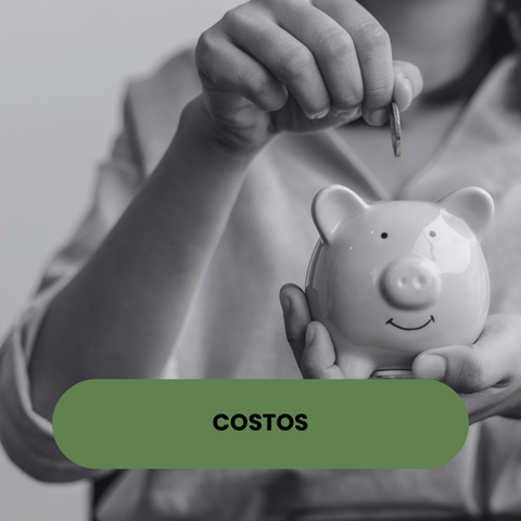 Costos