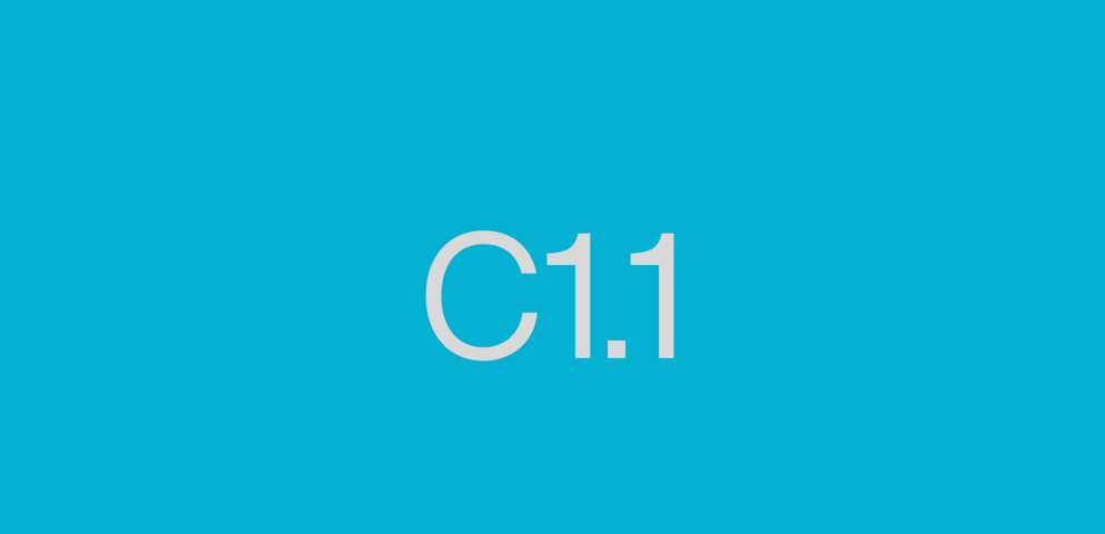 C1.1 (Lunes 1 de Diciembre 2025 11:30 hs.)