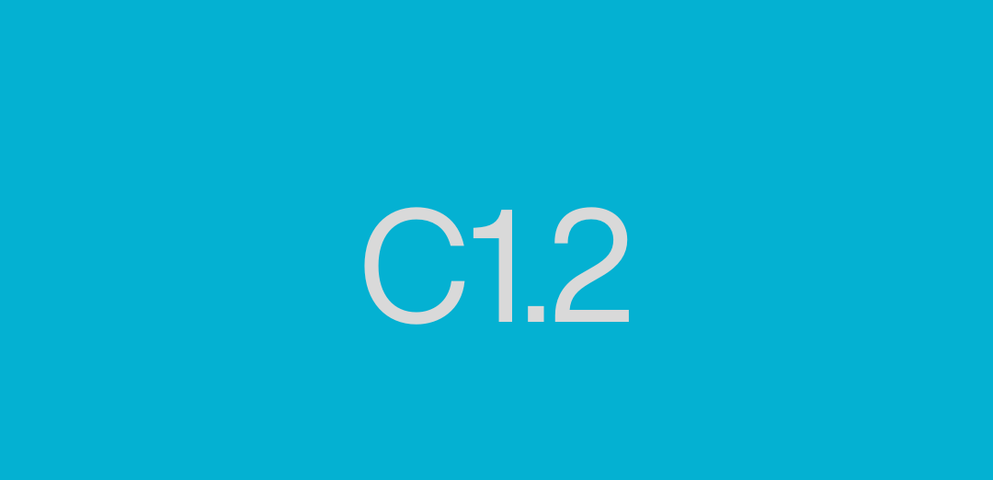 C1.2  (Lunes 12 de Enero 2026 11:30 hs.)