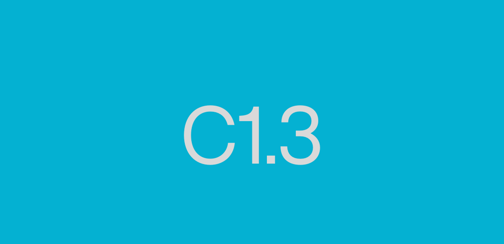 C1.3 (Lunes 9 de Febrero 2026 11:30 hs.)