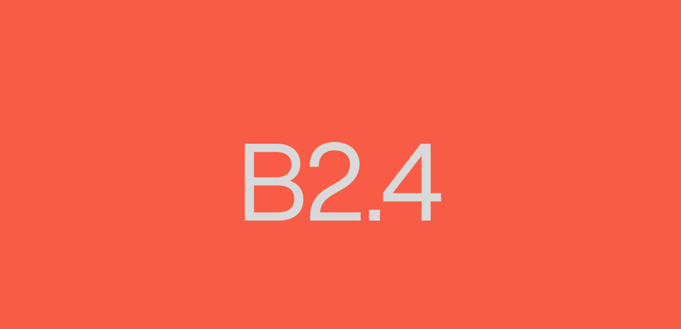  B2.4
