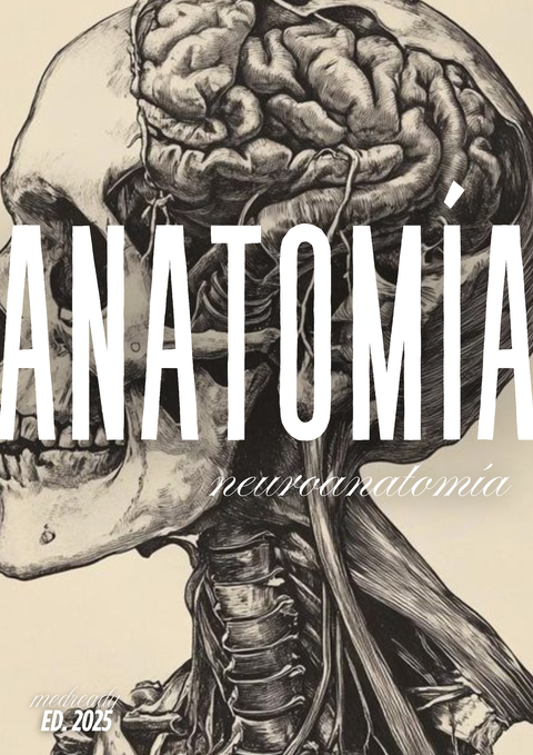 Anatomía | Neuroanatomía