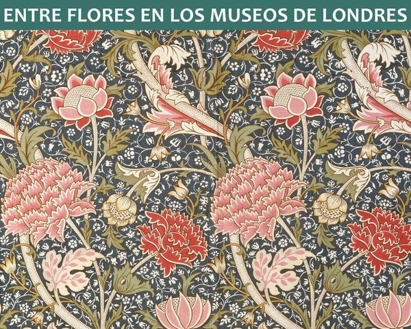 Entre Flores en los Museos de Londres
