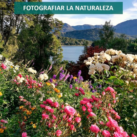 Curso Fotografía de Flores y Naturaleza 