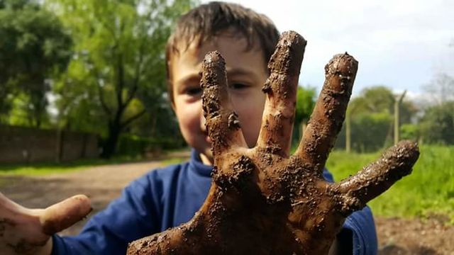 ¿Qué es la Educación Ambiental?
