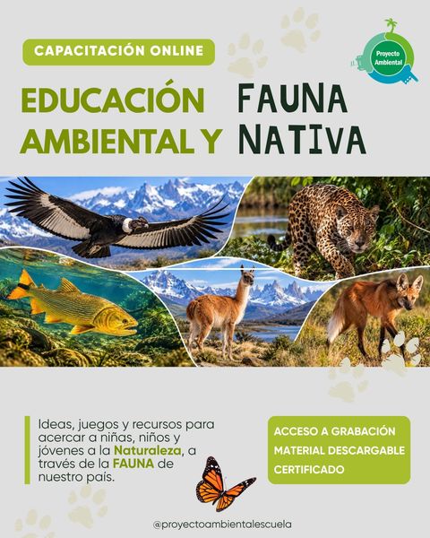 Taller Online: Educación Ambiental y Fauna Nativa 